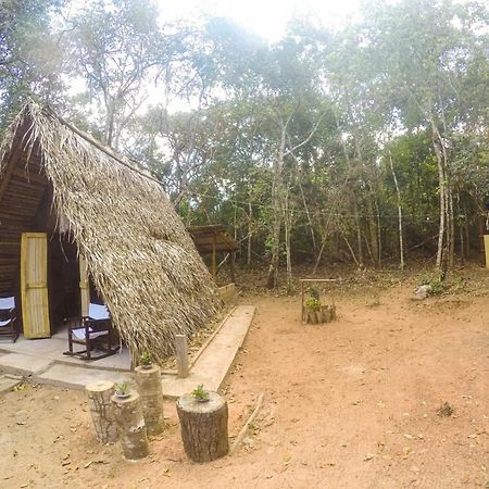 Hospedagem Aldeia Do Leao Otel Carolina  Dış mekan fotoğraf