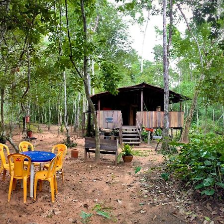 Hospedagem Aldeia Do Leao Otel Carolina  Dış mekan fotoğraf