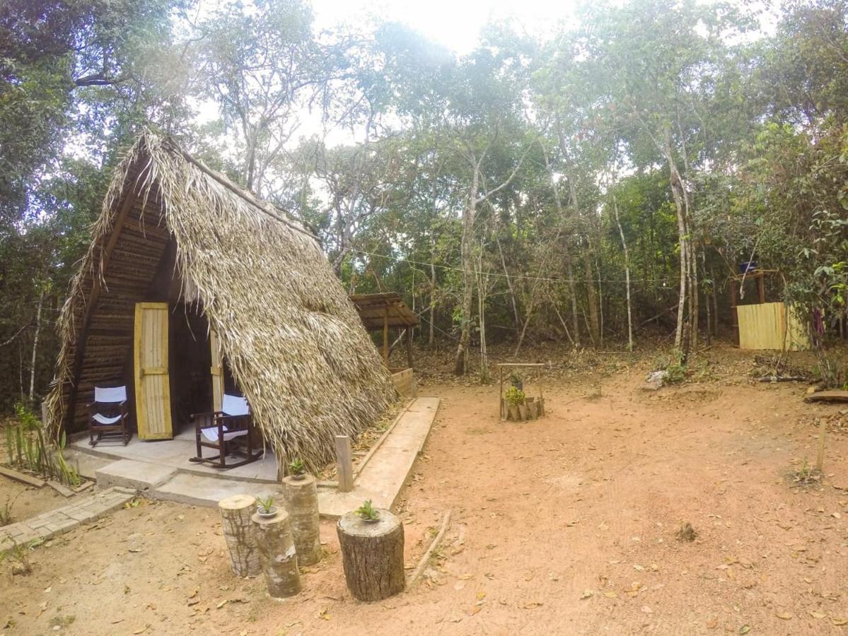 Hospedagem Aldeia Do Leao Otel Carolina  Dış mekan fotoğraf