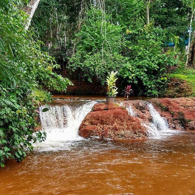 Hospedagem Aldeia Do Leao Otel Carolina  Dış mekan fotoğraf