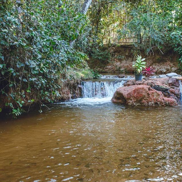 Hospedagem Aldeia Do Leao Otel Carolina  Dış mekan fotoğraf